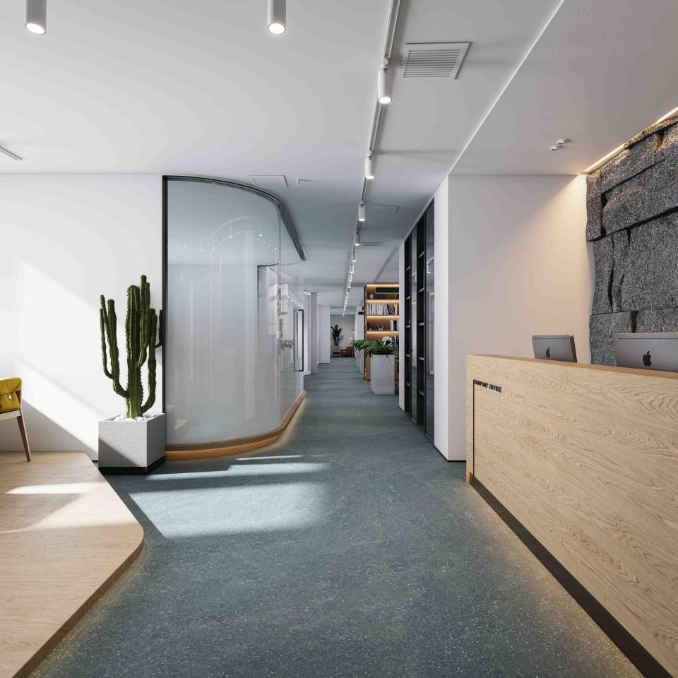 Modern office interior with cactus